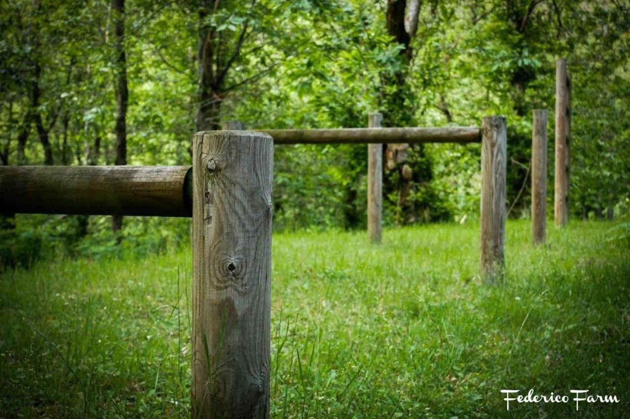 Camping Grondola - Federicofarm Pontremoli Εξωτερικό φωτογραφία