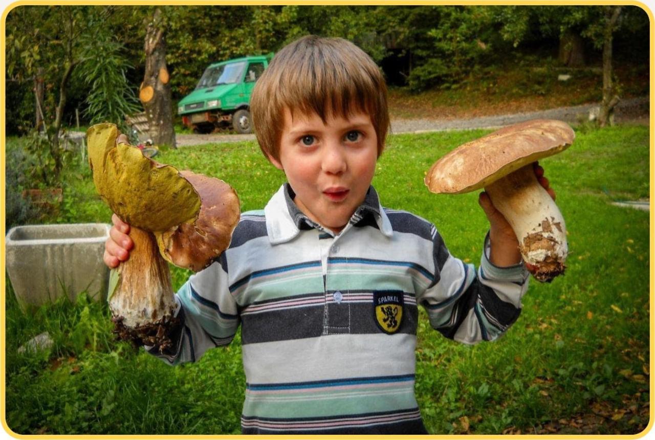 Camping Grondola - Federicofarm Pontremoli Εξωτερικό φωτογραφία